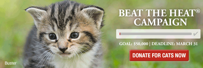 BEAT THE HEAT® CAMPAIGN GOAL: $50,000 | DEADLINE: MARCH 31 DONATE FOR CATS NOW
