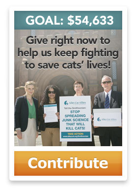 Goal: $54,633. Give right now to help us keep fighting to save cats' lives! Contribute.