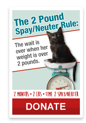 Time 2 Spay and Neuter!