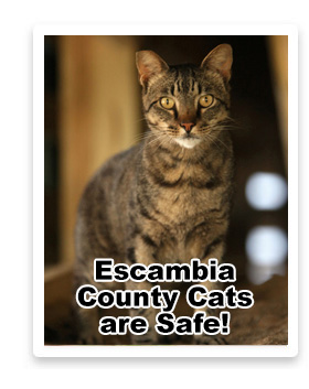 Email_Sidebar_Escambia_Safe.jpg