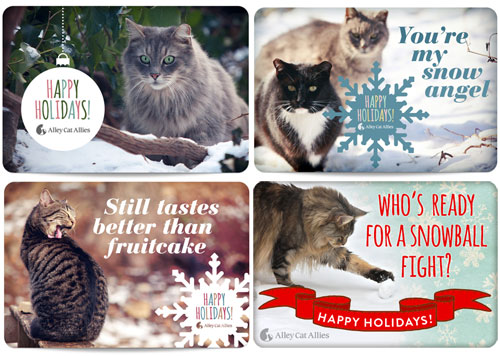 Available 2012 Holiday eCards